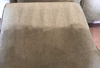 Professional Upholstery Cleaner - Beverlywood